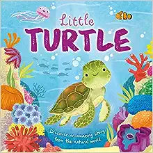 Book: Little Turtle