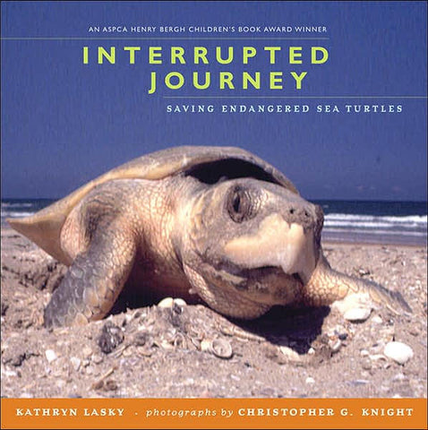 Book: Interrupted Journey