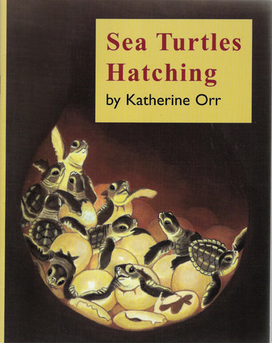 Book: Sea Turtles Hatching