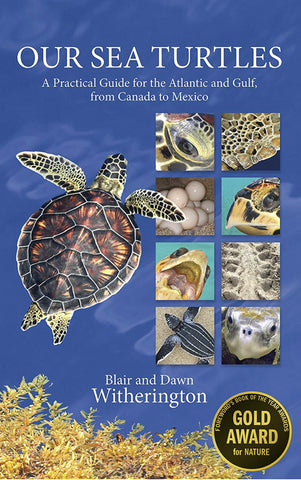 Book: Our Sea Turtles