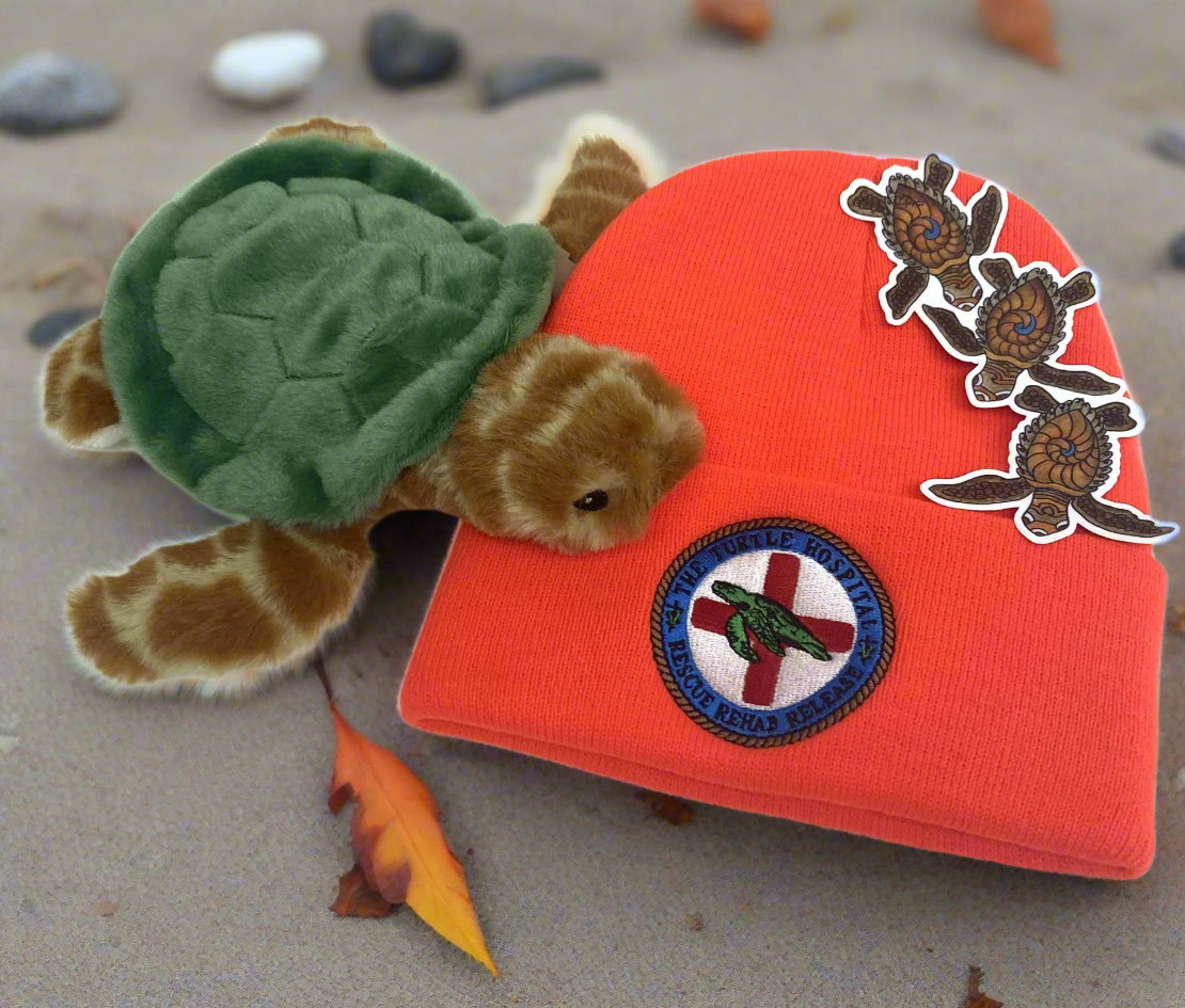 Fall Bundles – The Turtle Hospital