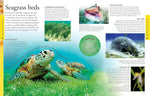 Book: Ocean Visual Encyclopedia