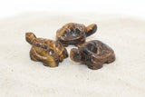 Crystal Turtle - Tiger's Eye Crystal