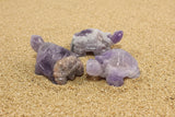 Crystal Turtle- Amethyst Turtle