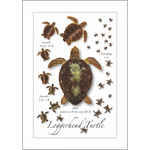 Card-Loggerhead Turtle Life