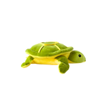 Plush- Green Wilmot Turtle