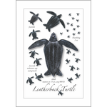 Card-Leatherback Lifecycle