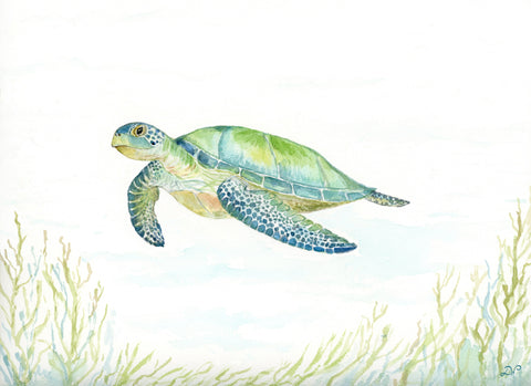 Card- ReJoyful Longitude Turtle