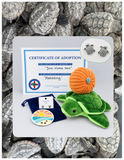 Fall Hatchling Adoption