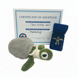 Happy Hatchling Adoption- 2026- draft