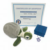 Happy Hatchling Adoption- 2026- draft