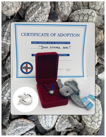 Happy Hatchling Adoption