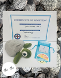 Hatchling Adoption