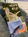 Kemp's Ridley Rehab Adoption