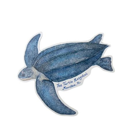 Magnet- Leatherback
