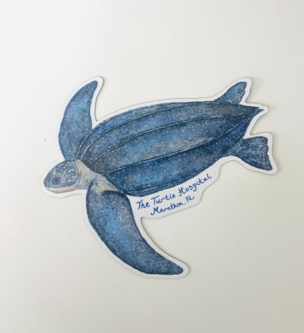Magnet- Leatherback Mini