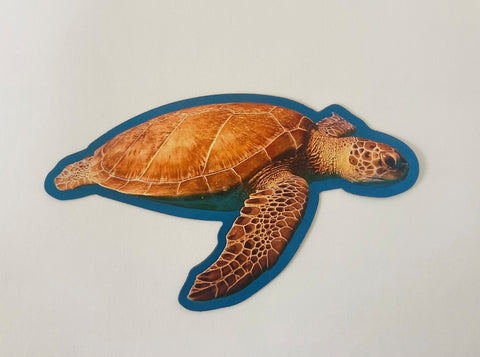 Magnet- Turtle Shaped Local