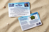 Plush-  Rescue Sea Turtle