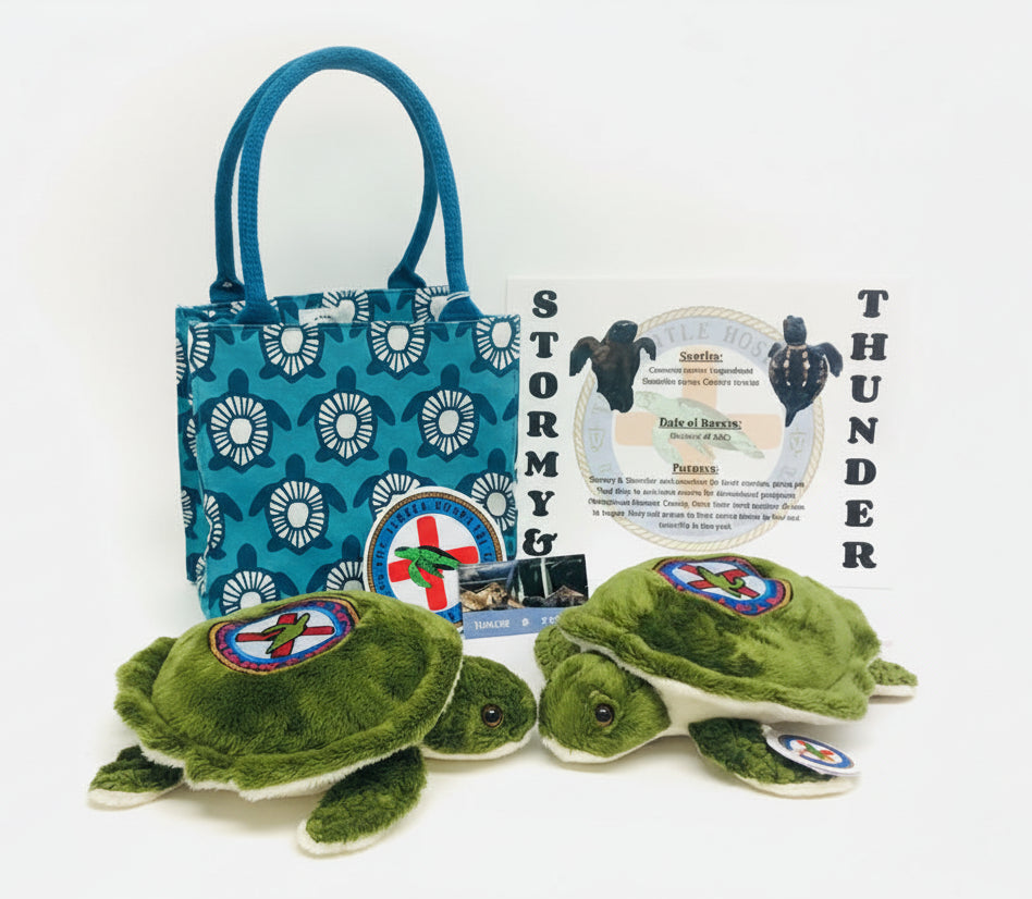 Adoption- Stormy & Thunder – The Turtle Hospital