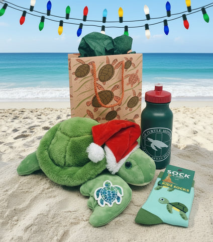 Have a Turtley Awesome Holiday!