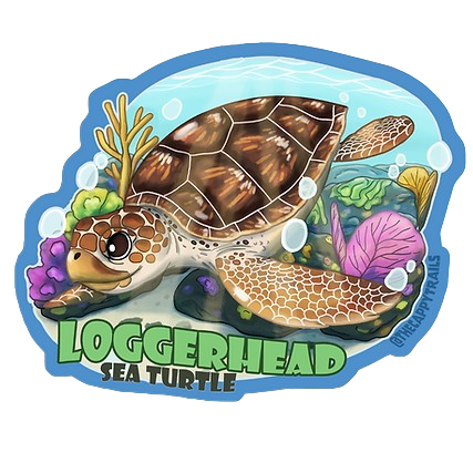 Sticker-Loggerhead