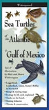 Guide-Turtles of Atlantic-978162126017