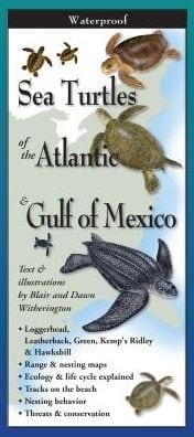 Guide-Turtles of Atlantic