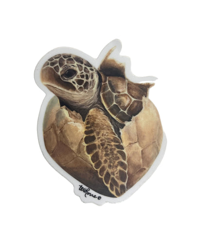 Sticker- Toby Turtle