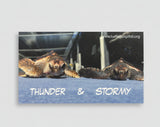 Adoption- Stormy & Thunder