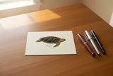 Card Set- 8 cards Sea Turtle Asoortment
