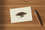 Card Set- 8 cards Sea Turtle Asoortment