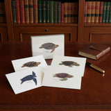 Card Set- 8 cards Sea Turtle Asoortment
