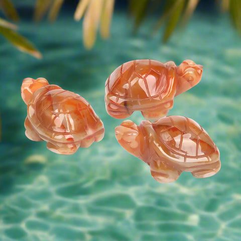 Crystal Turtle- Carnelian Turtle