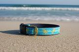 Dog Collar- LARGE Sea Turtles