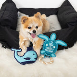 Dog Toy- Turtley Awesome