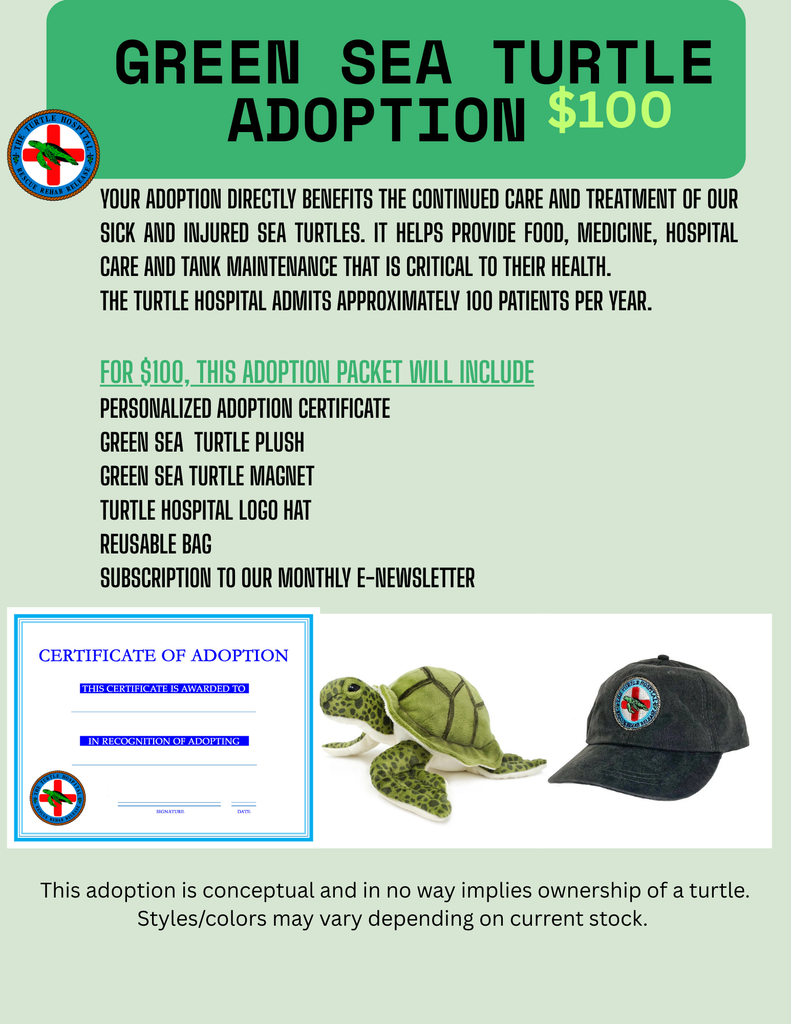 Adoption- Green Sea Turtle Rehabilitation – The Turtle Hospital