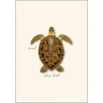 Note Card- Boxed Set Juveniles