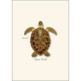 Note Card- Boxed Set Juveniles