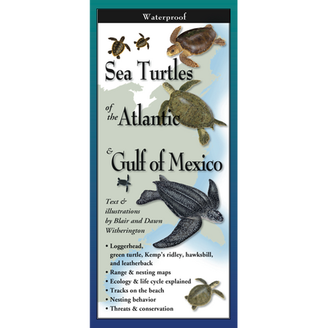 Folding Guide- Turtles Atlantic