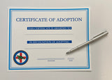 Rehabilitation Patient Adoption