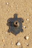 Hardware- Sea Turtle Drawer Pull
