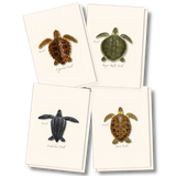 Note Card- Boxed Set Juveniles