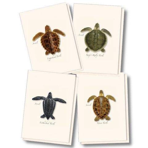 Note Card- Boxed Set Juveniles