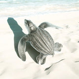 Lapel Pin- Leatherback