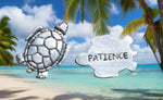 Coin- Pewter Patience Turtle