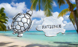 Coin- Pewter Patience Turtle