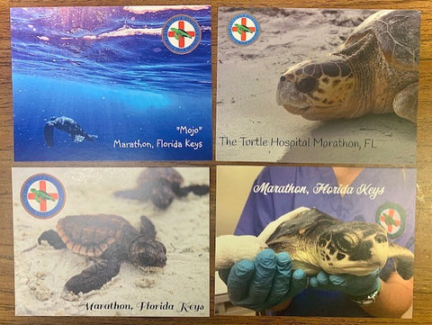 Postcard-TURTLE HOSPITAL