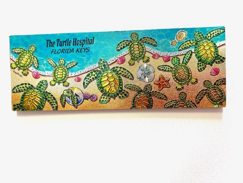 Magnet-Rectangle Foil Baby Turtles  86743