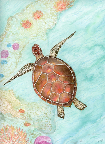 Card- ReJoyful Turtle Reef