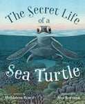 Book- Secret Life of a Sea Turtle